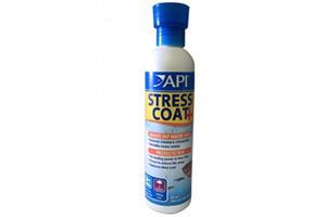 API Stress Coat 237ml cá nhát người, nhảy loạn xạ, hay bơi góc khuất